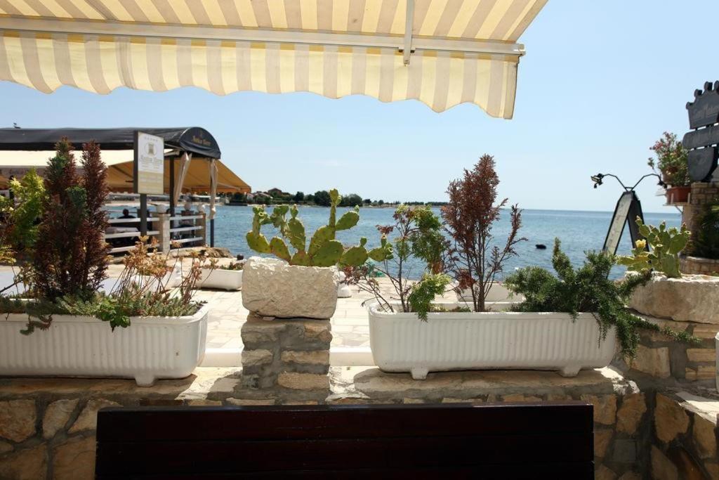 Sea View Apartment Umag 2 Zewnętrze zdjęcie
